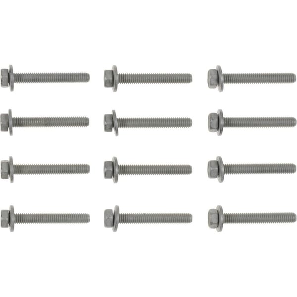 Reinz INTAKE MAN BOLT SET 16-10002-01 - main